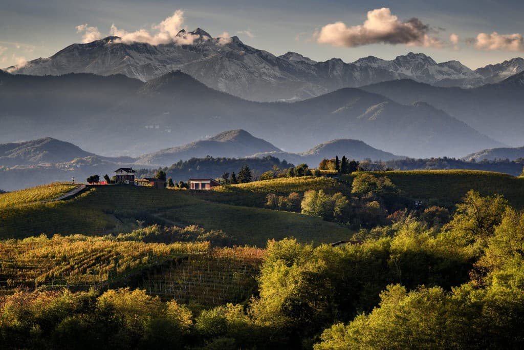 Vigne sulle colline dell’Alto Piemonte, con le Alpi sullo sfondo