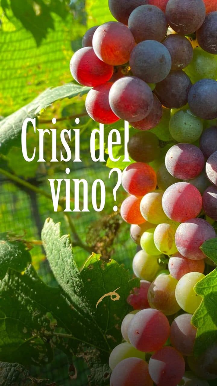 Crisi del vino? Parliamone