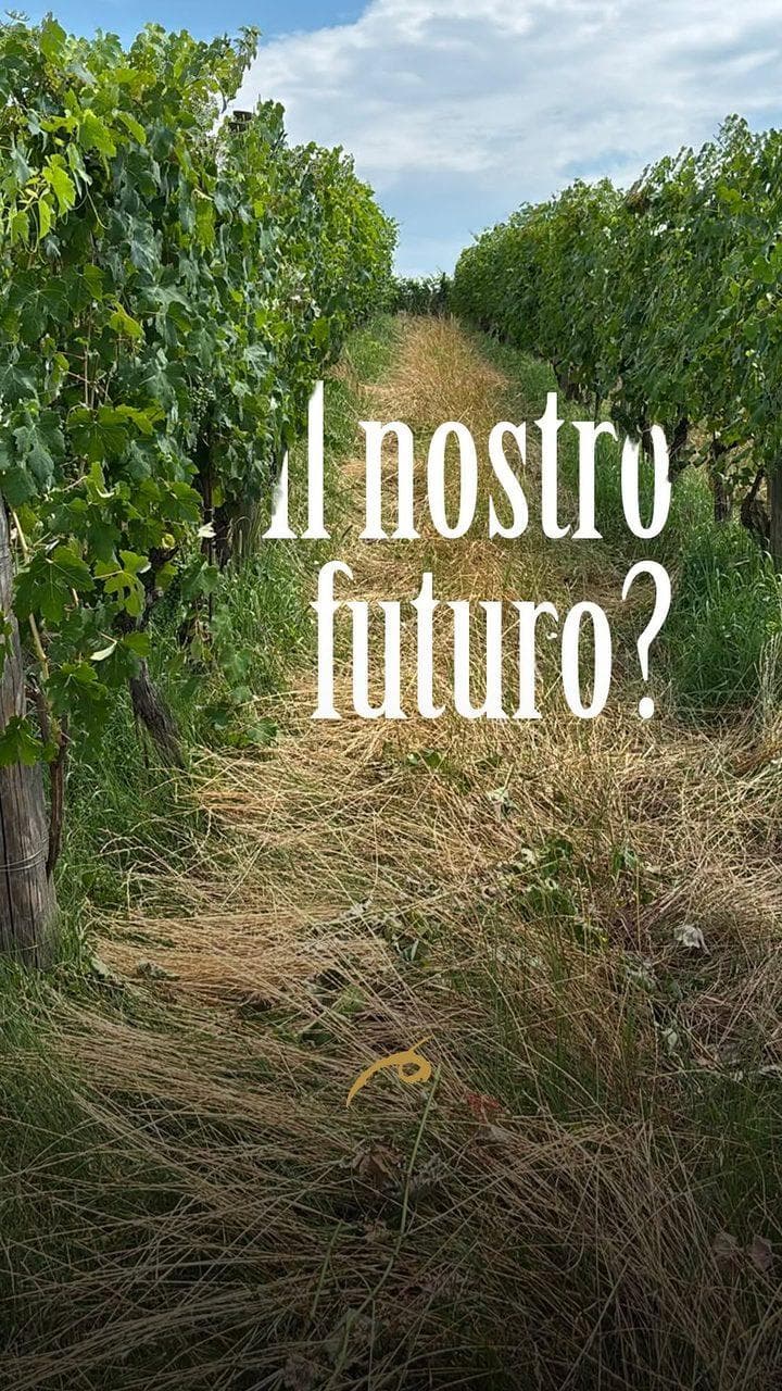 Il futuro della nostra zona