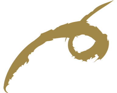 Anzivino — Cantina vini Nebbiolo Gattinara DOCG