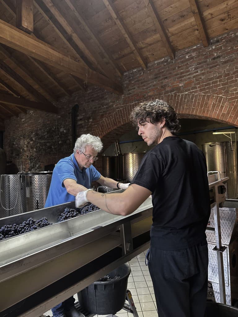 Emanuele e Andrea Anzivino in cantina